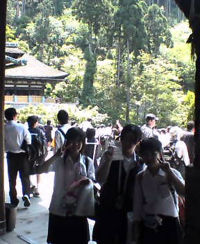 日陰に入ると一安心かな?